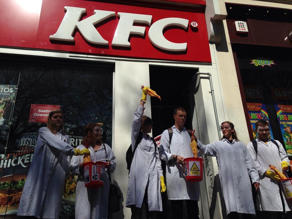 Kyllinger dyppet i klorin utenfor KFC